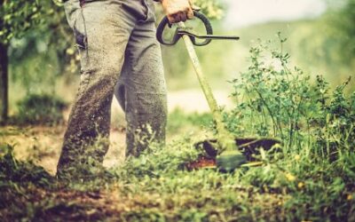 L&rsquo;obligation légale de débroussaillement en quelques mots