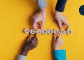 FOCUS SUR L&rsquo;ADOPTION SIMPLE